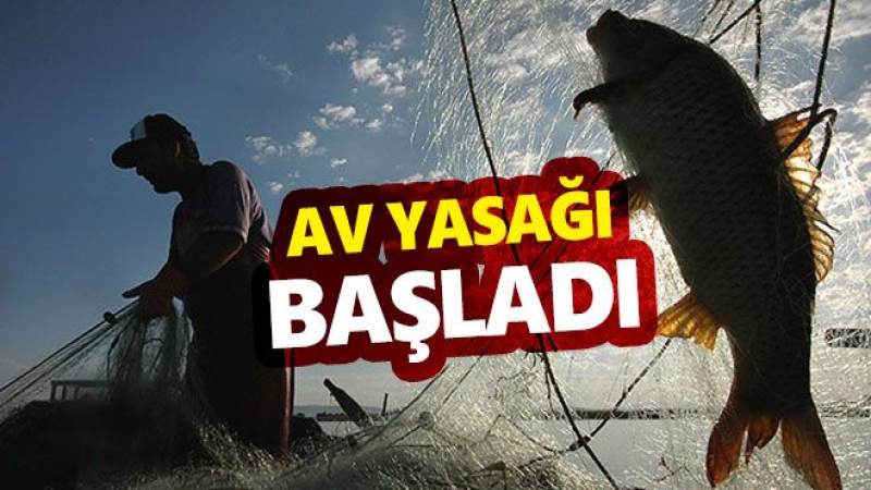 Av yasağı başladı