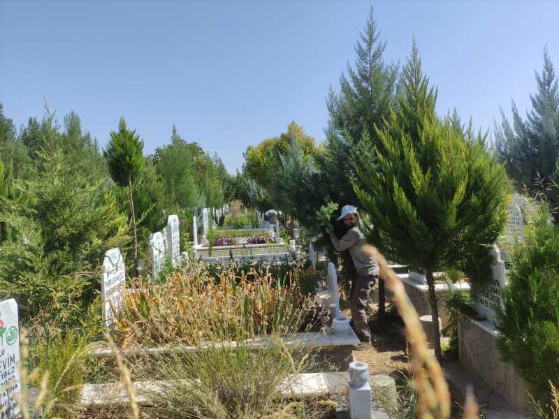 MEZARLIKLARDA YEŞİLLENDİRME ÇALIŞMALARI DEVAM EDİYOR