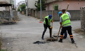 16 Bin Baca Temizliğine Başlandı