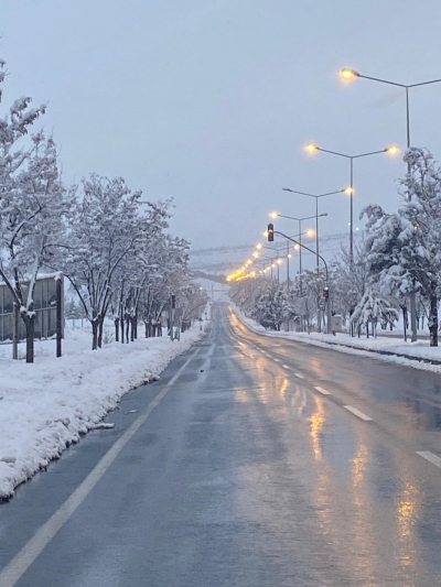 Beşiri Sahipsiz mi, Yok Sayılan Bir İlçe mi?