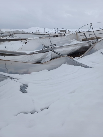 Sera catilari Kar Agirligina dayanamadi